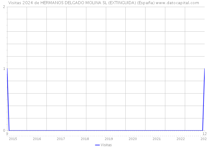 Visitas 2024 de HERMANOS DELGADO MOLINA SL (EXTINGUIDA) (España) 