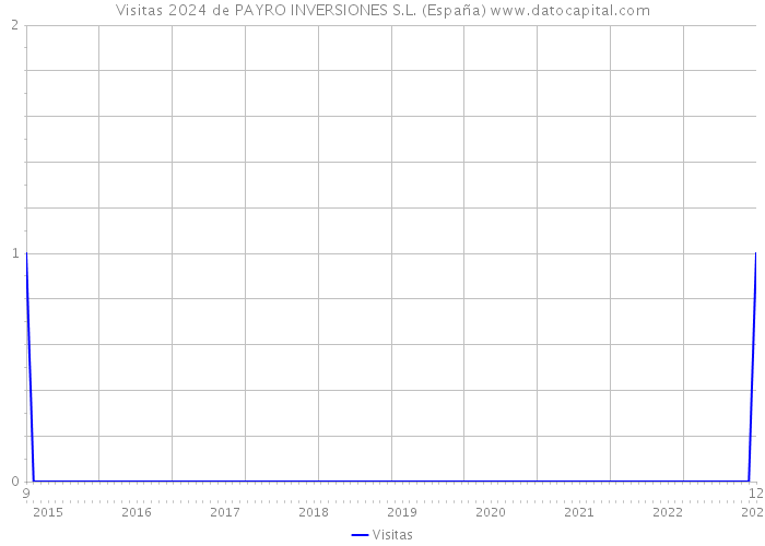 Visitas 2024 de PAYRO INVERSIONES S.L. (España) 