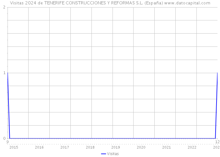 Visitas 2024 de TENERIFE CONSTRUCCIONES Y REFORMAS S.L. (España) 