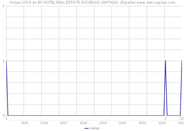 Visitas 2024 de B3 HOTEL REAL ESTATE SOCIEDAD LIMITADA. (España) 