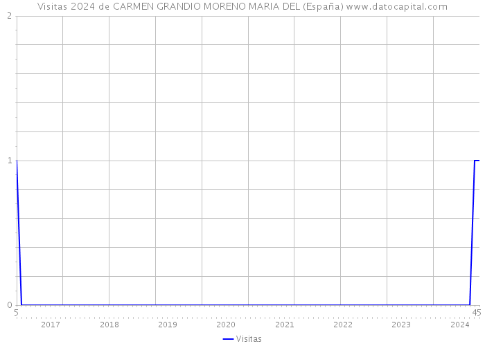 Visitas 2024 de CARMEN GRANDIO MORENO MARIA DEL (España) 