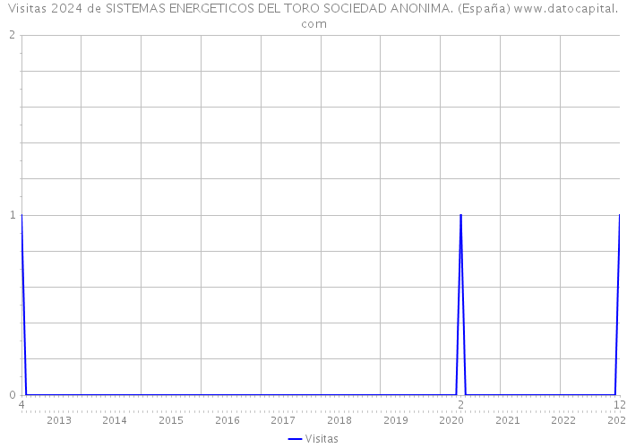Visitas 2024 de SISTEMAS ENERGETICOS DEL TORO SOCIEDAD ANONIMA. (España) 