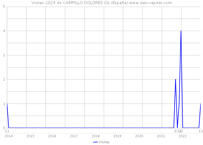 Visitas 2024 de CAMPILLO DOLORES GIL (España) 