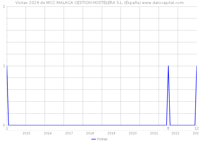 Visitas 2024 de MCC MALAGA GESTION HOSTELERA S.L. (España) 