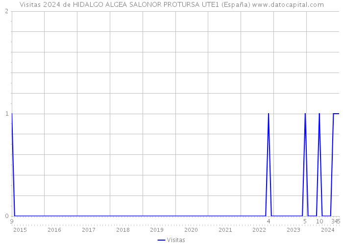Visitas 2024 de HIDALGO ALGEA SALONOR PROTURSA UTE1 (España) 