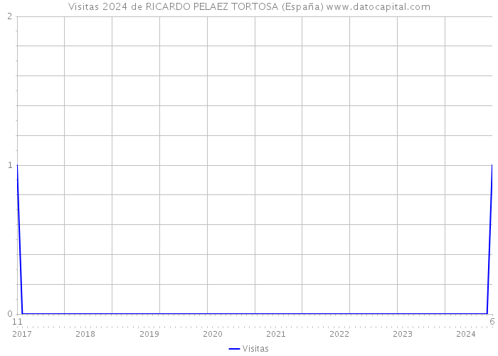 Visitas 2024 de RICARDO PELAEZ TORTOSA (España) 