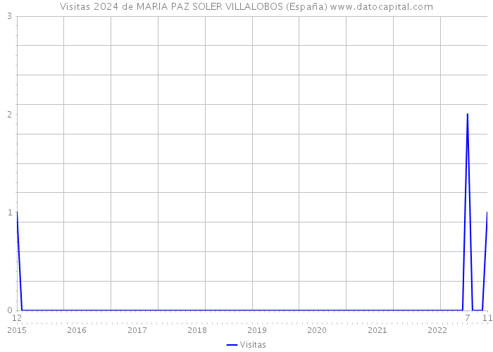 Visitas 2024 de MARIA PAZ SOLER VILLALOBOS (España) 
