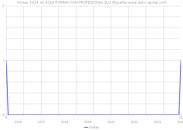 Visitas 2024 de AQUI FORMACION PROFESIONAL SLU (España) 