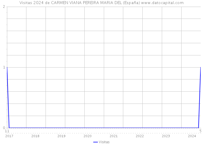 Visitas 2024 de CARMEN VIANA PEREIRA MARIA DEL (España) 