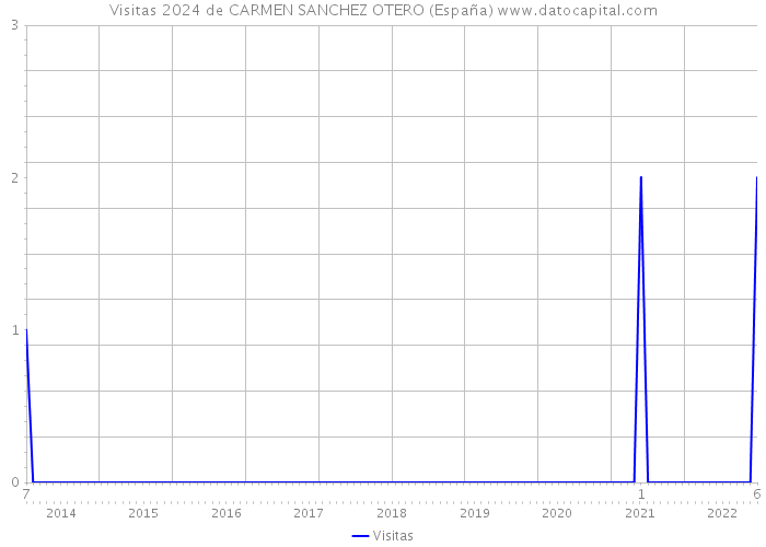Visitas 2024 de CARMEN SANCHEZ OTERO (España) 