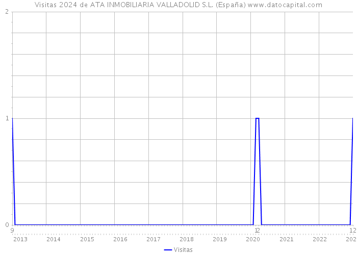 Visitas 2024 de ATA INMOBILIARIA VALLADOLID S.L. (España) 