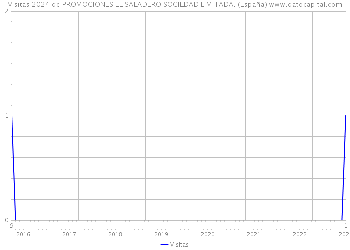Visitas 2024 de PROMOCIONES EL SALADERO SOCIEDAD LIMITADA. (España) 