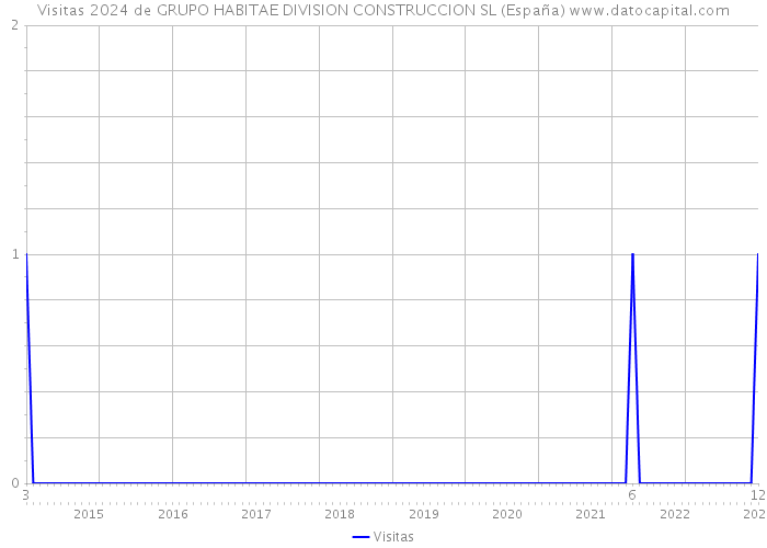 Visitas 2024 de GRUPO HABITAE DIVISION CONSTRUCCION SL (España) 