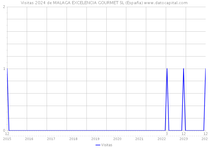 Visitas 2024 de MALAGA EXCELENCIA GOURMET SL (España) 