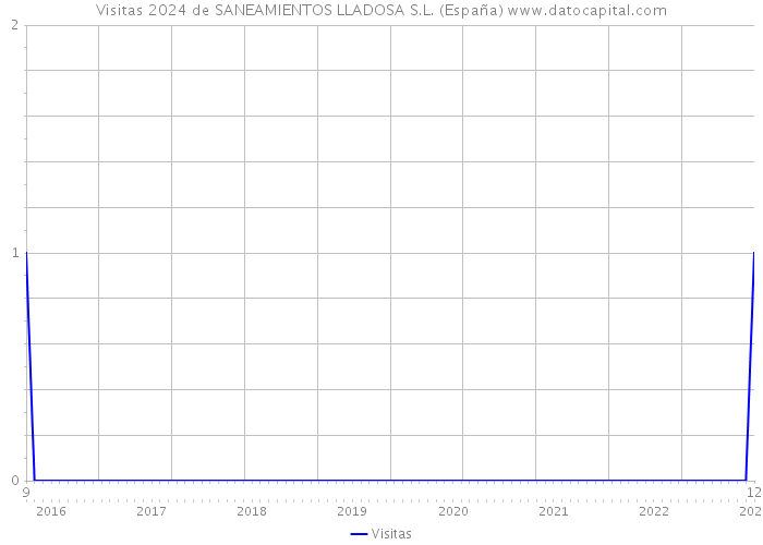 Visitas 2024 de SANEAMIENTOS LLADOSA S.L. (España) 