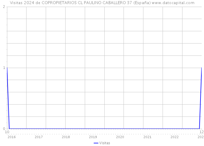 Visitas 2024 de COPROPIETARIOS CL PAULINO CABALLERO 37 (España) 