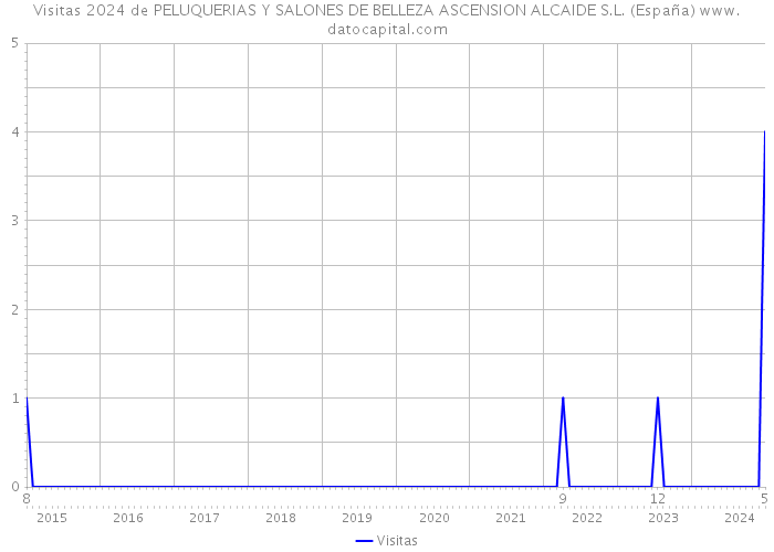 Visitas 2024 de PELUQUERIAS Y SALONES DE BELLEZA ASCENSION ALCAIDE S.L. (España) 