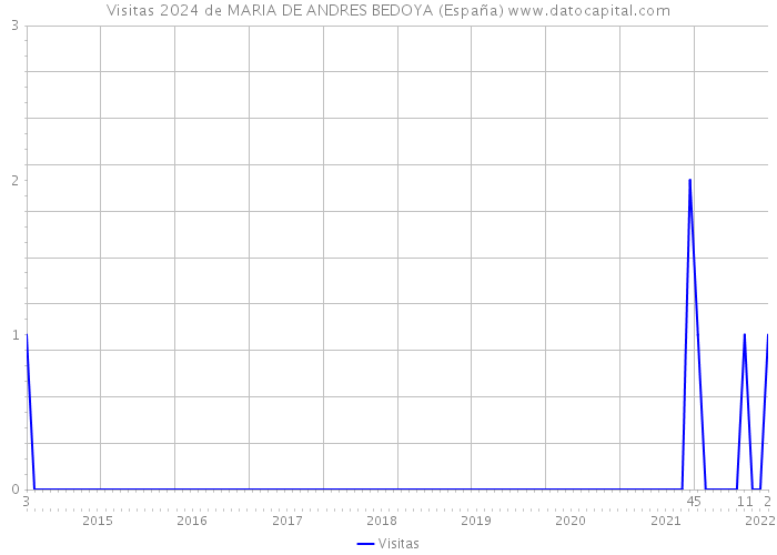 Visitas 2024 de MARIA DE ANDRES BEDOYA (España) 