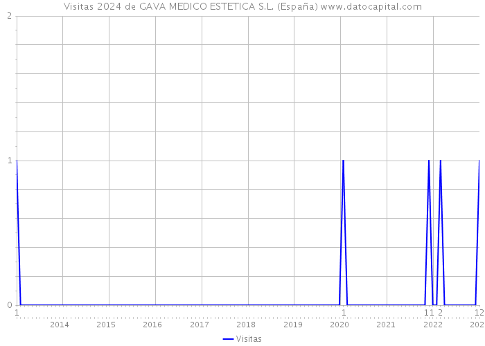 Visitas 2024 de GAVA MEDICO ESTETICA S.L. (España) 