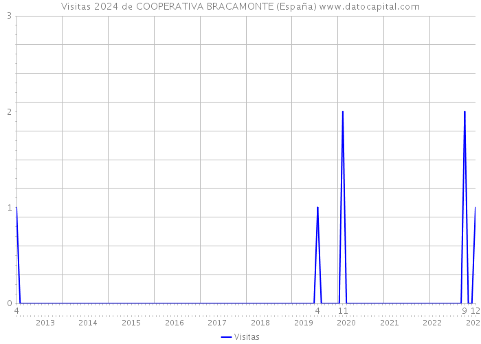 Visitas 2024 de COOPERATIVA BRACAMONTE (España) 