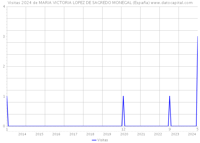 Visitas 2024 de MARIA VICTORIA LOPEZ DE SAGREDO MONEGAL (España) 