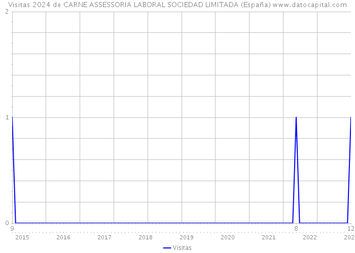 Visitas 2024 de CARNE ASSESSORIA LABORAL SOCIEDAD LIMITADA (España) 