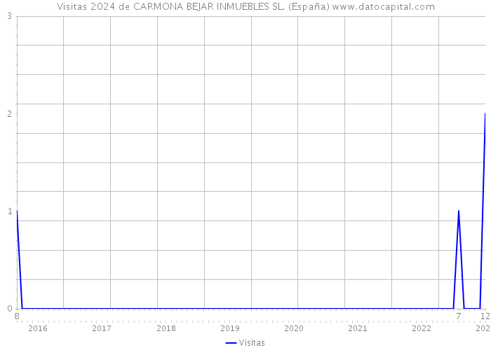 Visitas 2024 de CARMONA BEJAR INMUEBLES SL. (España) 
