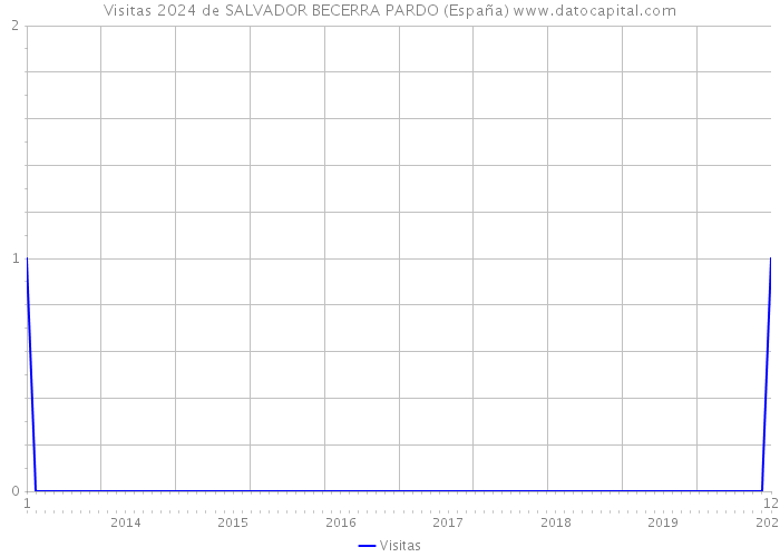 Visitas 2024 de SALVADOR BECERRA PARDO (España) 