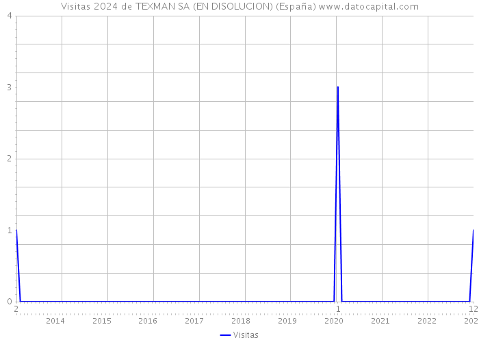 Visitas 2024 de TEXMAN SA (EN DISOLUCION) (España) 
