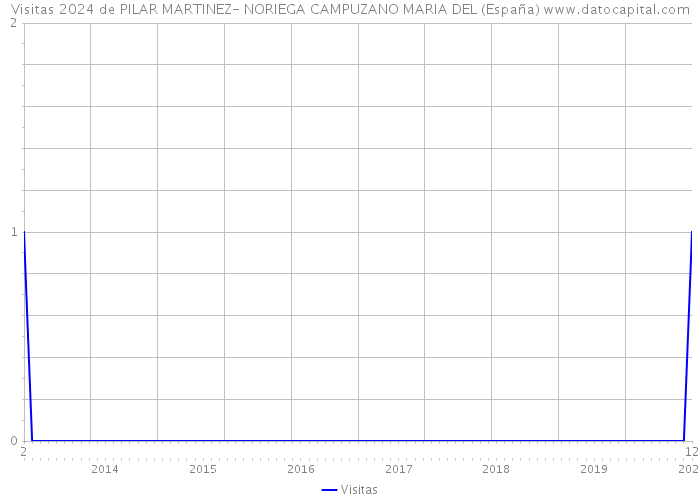 Visitas 2024 de PILAR MARTINEZ- NORIEGA CAMPUZANO MARIA DEL (España) 