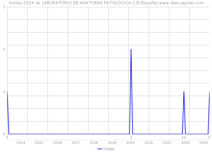 Visitas 2024 de LABORATORIO DE ANATOMIA PATOLOGICA C.B (España) 