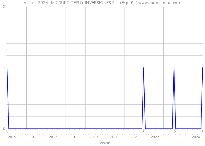 Visitas 2024 de GRUPO TEPUY INVERSIONES S.L. (España) 