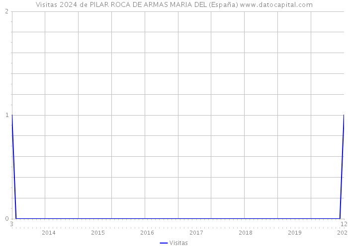 Visitas 2024 de PILAR ROCA DE ARMAS MARIA DEL (España) 