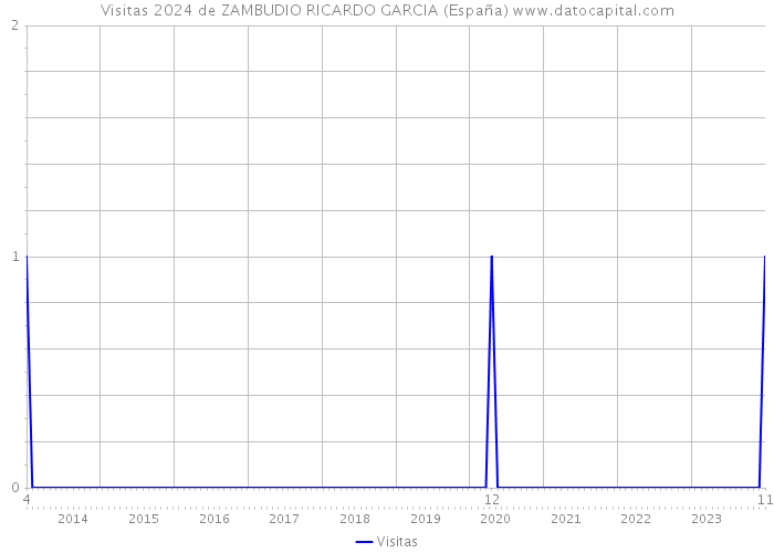 Visitas 2024 de ZAMBUDIO RICARDO GARCIA (España) 