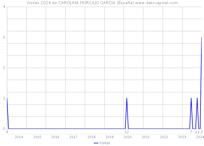 Visitas 2024 de CAROLINA HORCAJO GARCIA (España) 