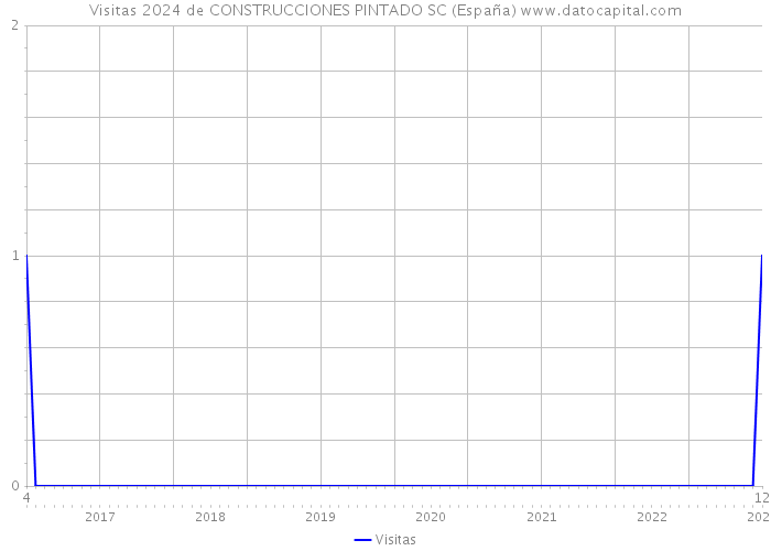 Visitas 2024 de CONSTRUCCIONES PINTADO SC (España) 