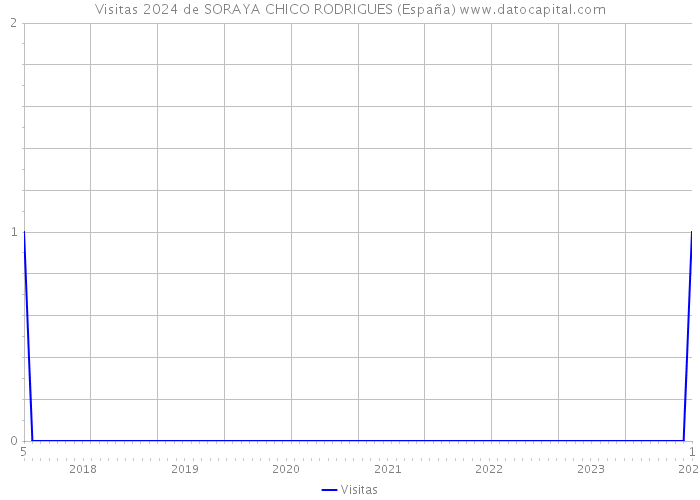 Visitas 2024 de SORAYA CHICO RODRIGUES (España) 