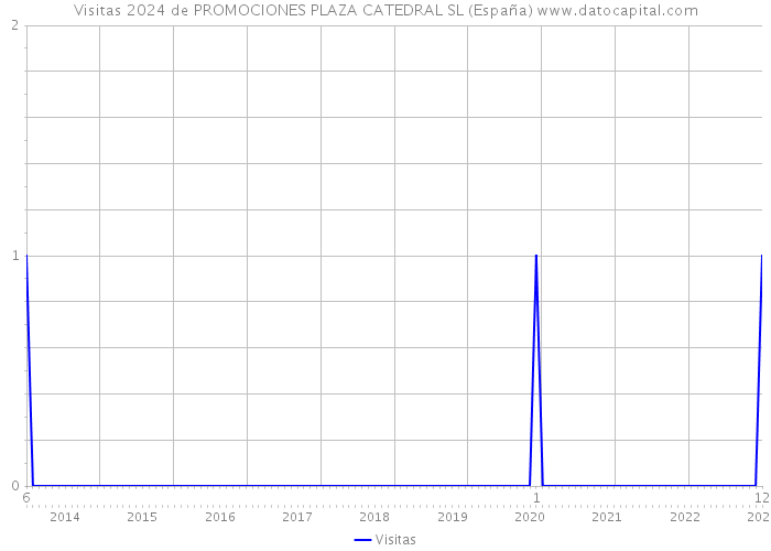 Visitas 2024 de PROMOCIONES PLAZA CATEDRAL SL (España) 