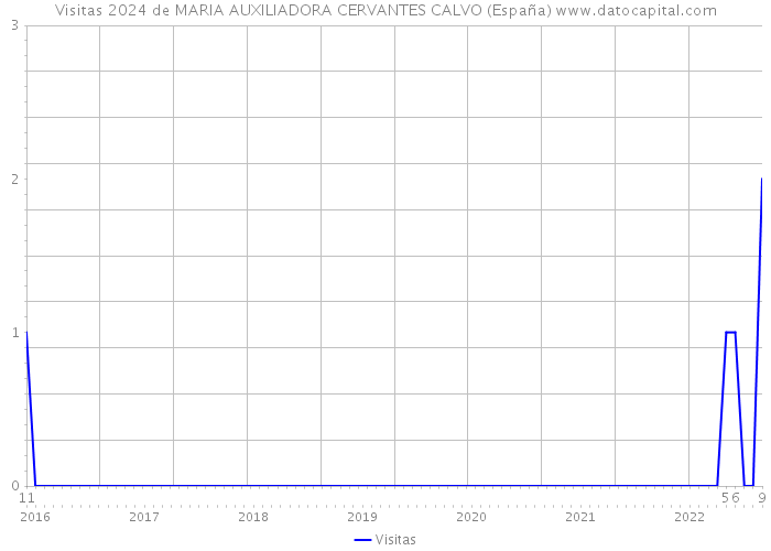 Visitas 2024 de MARIA AUXILIADORA CERVANTES CALVO (España) 