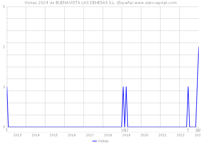 Visitas 2024 de BUENAVISTA LAS DEHESAS S.L. (España) 