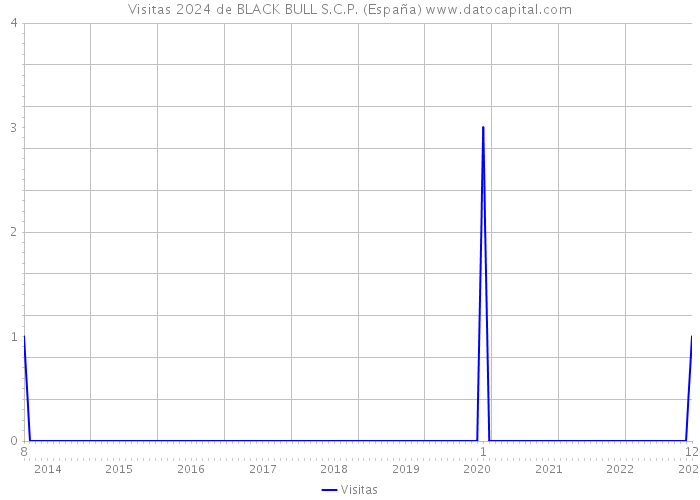 Visitas 2024 de BLACK BULL S.C.P. (España) 