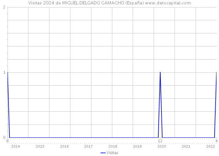 Visitas 2024 de MIGUEL DELGADO CAMACHO (España) 