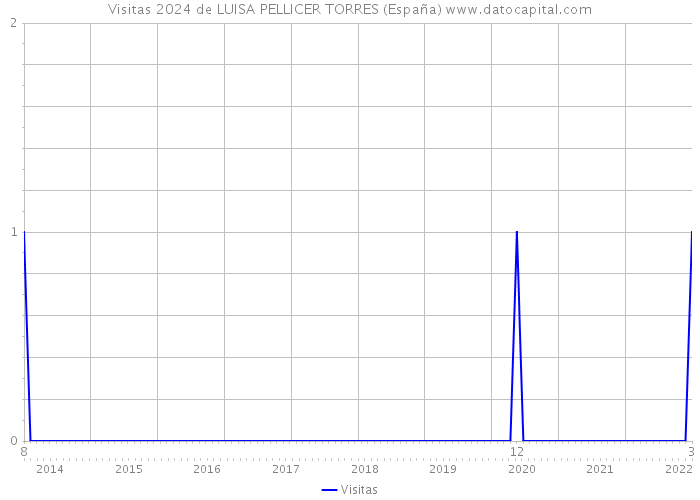 Visitas 2024 de LUISA PELLICER TORRES (España) 