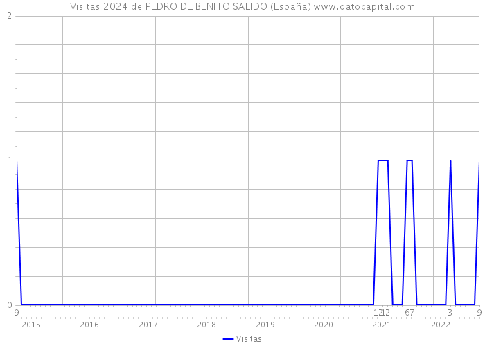 Visitas 2024 de PEDRO DE BENITO SALIDO (España) 
