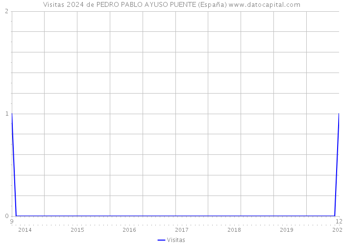 Visitas 2024 de PEDRO PABLO AYUSO PUENTE (España) 