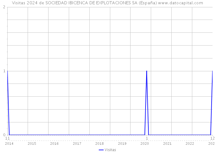 Visitas 2024 de SOCIEDAD IBICENCA DE EXPLOTACIONES SA (España) 