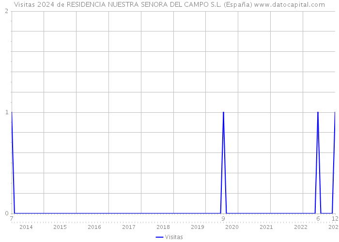 Visitas 2024 de RESIDENCIA NUESTRA SENORA DEL CAMPO S.L. (España) 