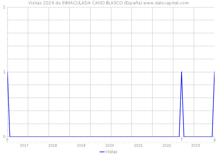 Visitas 2024 de INMACULADA CANO BLASCO (España) 