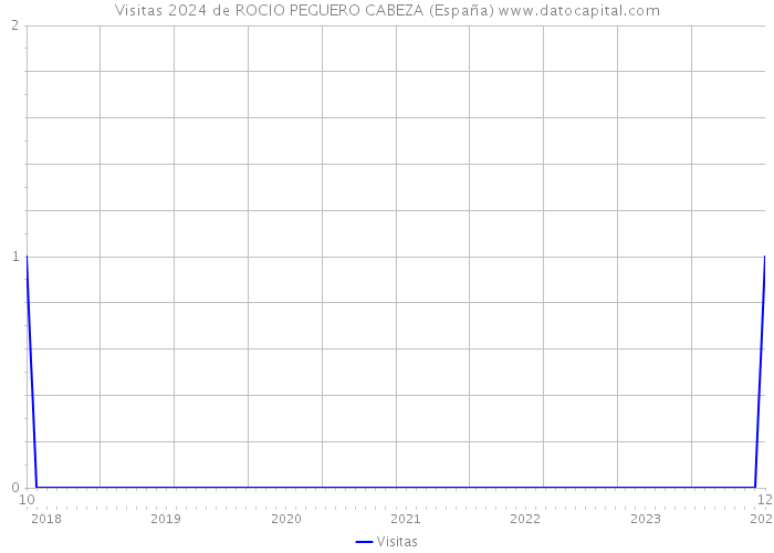 Visitas 2024 de ROCIO PEGUERO CABEZA (España) 
