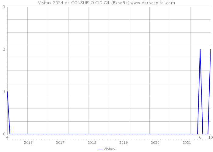 Visitas 2024 de CONSUELO CID GIL (España) 
